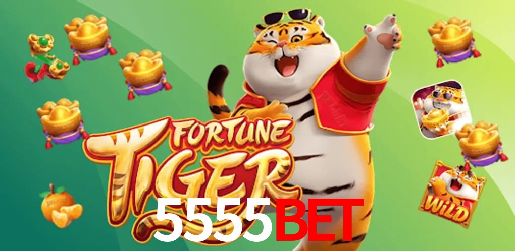 Experiência VIP 5555bet