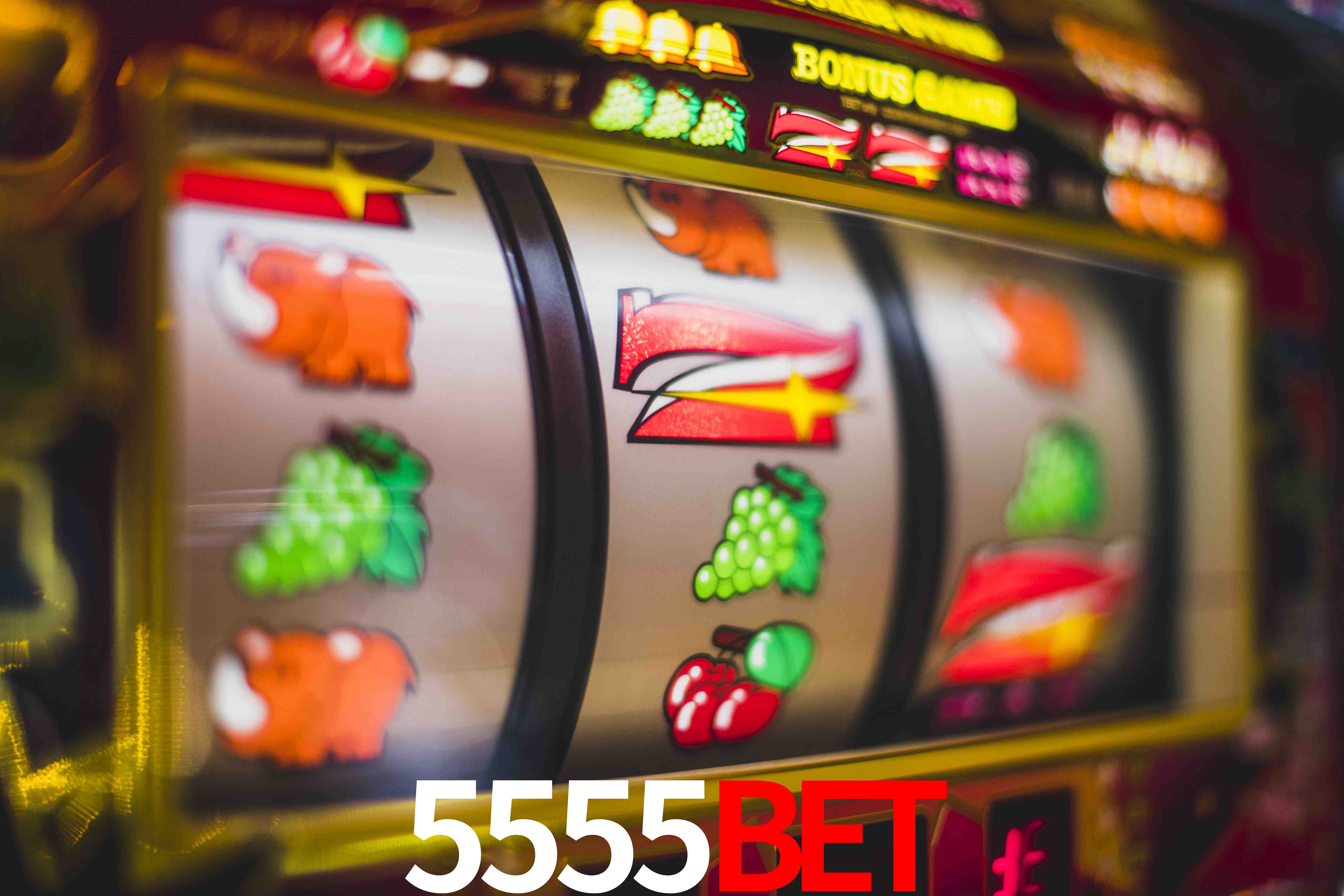 Crash Games Statistics 5555bet